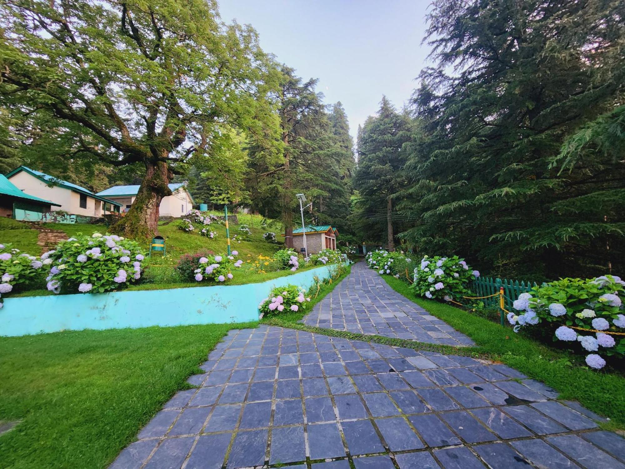 Forest Vibes Kalatop-Rooms And Restaurant Dalhousie Eksteriør bilde