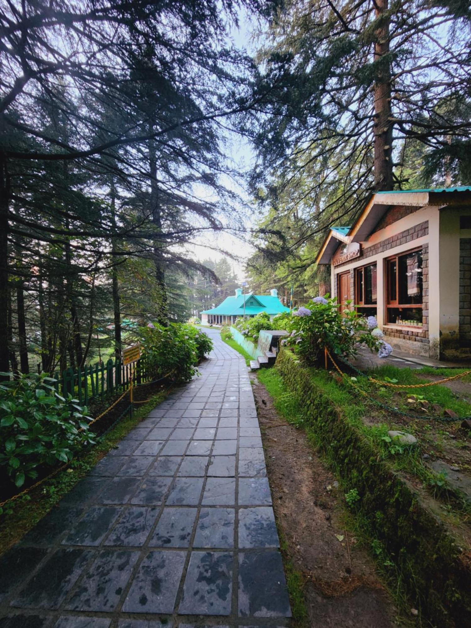 Forest Vibes Kalatop-Rooms And Restaurant Dalhousie Eksteriør bilde